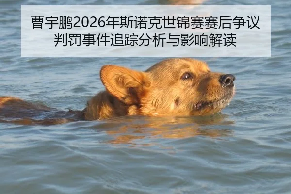 曹宇鹏2026年斯诺克世锦赛赛后争议判罚事件追踪分析与影响解读