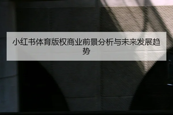 小红书体育版权商业前景分析与未来发展趋势